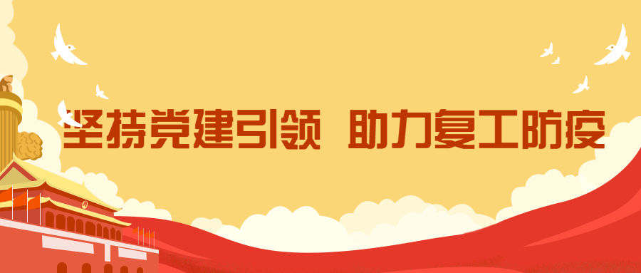 抓党建凝心聚力 勇担当共战疫情
